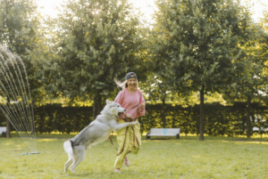 Understanding Dog Training: A Beginner's Guide to Off-Leash Coaching 101