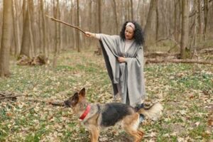 Mastering Dog Training Consistency: The Key to Success