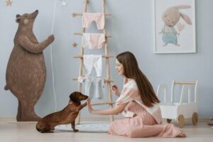 Mastering Dog Training Consistency: The Key to Success