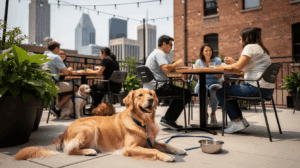 Owner dining with a dog at a dog-friendly Detroit restaurant