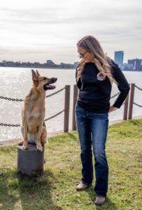 German Shepherd sitting calmly beside a dog trainer