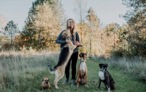 German Shepherd jumping on woman during outdoor training