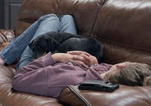 Doberman resting with owner on couch inside the house